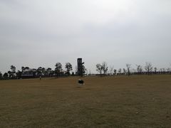 -春花秋色城市公园