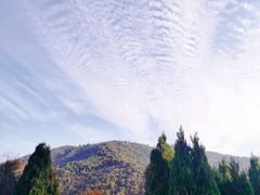 -惠山国家森林公园
