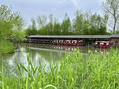 -溱湖国家湿地公园