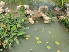 -天屿湖