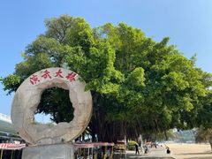 -白城沙滩