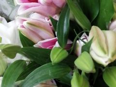 -江南公社(跨塘店)