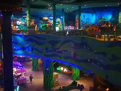 -青岛嘉年华主题乐园