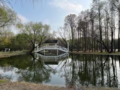 -上海共青森林公园