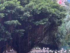 -九龙公园