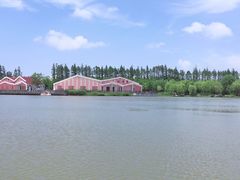 -上海长兴岛郊野公园