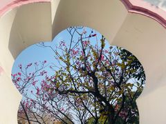 -无锡梅园公园