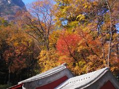 -北京上方山国家森林公园