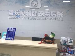 -宠颐生贝利健动物医院(谢家湾分院)