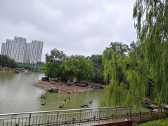 -青藏高原野生动物园