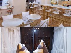 大堂-Husky Go! 哈士奇体验馆·宠物咖啡厅狗咖