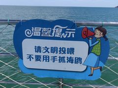 -海驴岛(荣成市)