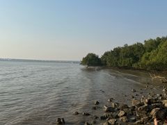 -宝安西湾红树林湿地公园