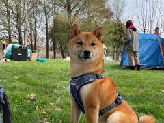 -龙美术馆西岸馆-停车场