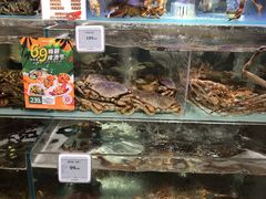 -超级物种·波龙工坊(国贸店)