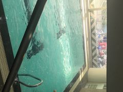 -一兆韦德健身(慧芝湖店)