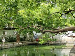 -西园戒幢律寺