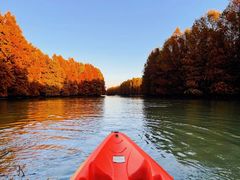 -上海海湾国家森林公园