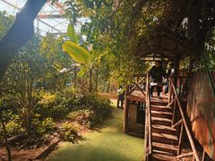 -呀路古热带植物园