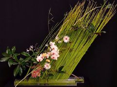 -荷兰布尔玛国际花艺学院