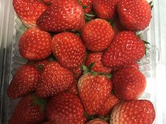 -鲜力达果品批发直销(青山店)