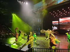 -重庆国际马戏城