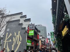 -麗枫酒店(长沙步行街南门口地铁站店)