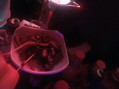 -玩乐大师·奥斯卡(济南店)