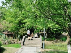 -长广溪湿地公园
