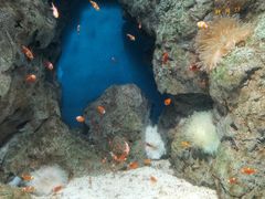 -福州罗源湾海洋世界旅游区