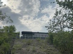 -白水寺森林公园