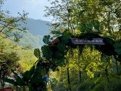 -秦岭终南山世界地质公园翠华山景区