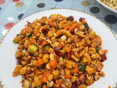 -东北田记家常菜