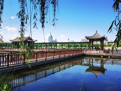 -莲花池公园
