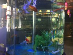 -08涮肉坊(广顺南大街店)