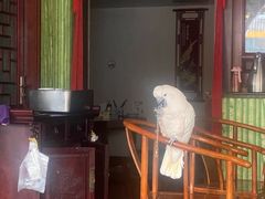 -四海楼(如皋定慧禅寺店)