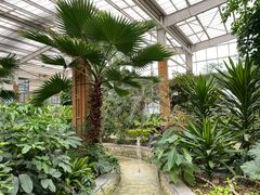 -南宫五洲植物乐园