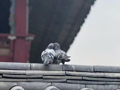 -景福宫