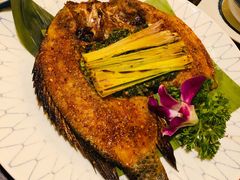 -紫滇源云南生态菜(丹凤街店)