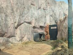 -武汉动物园