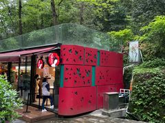 -茶颜悦色(岳麓山顶店)