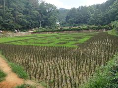 -韶山毛泽东同志故居