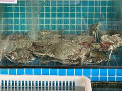 -萃华海鲜阁大排档(五四广场店)