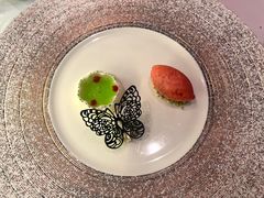 -蝶舍·MAISON PAPILLON