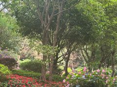 -南宁荔园维景国际酒店·荔园中餐厅