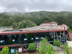 -全国青少年井冈山革命传统教育基地