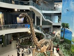 -辽宁古生物博物馆