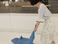 -TheRink大零溜冰场(IFS国金中心店)
