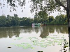 -白洋淀景区