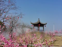 -墨潭桃花岛风景区